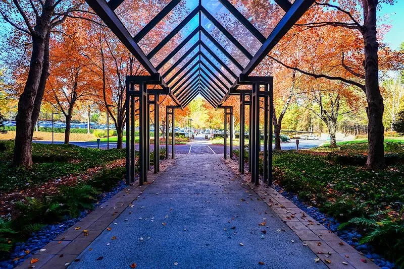 Caron Treatment Centers