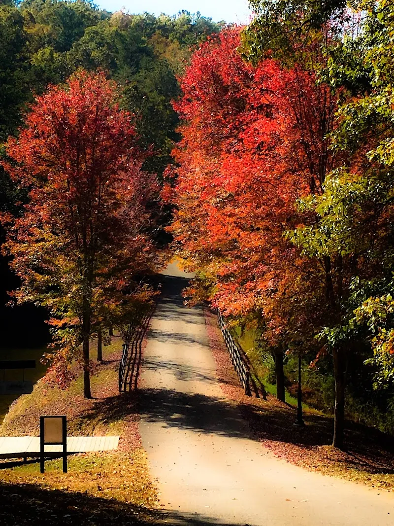 Blue Ridge Mountain Recovery