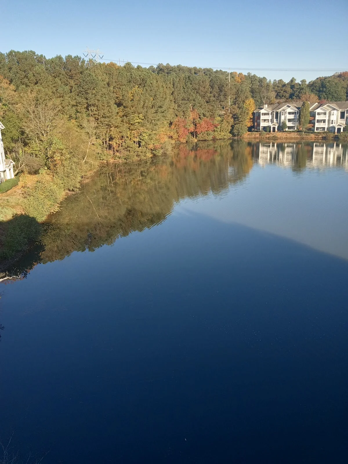 TANGU Recovery + Wellness - Photo 4