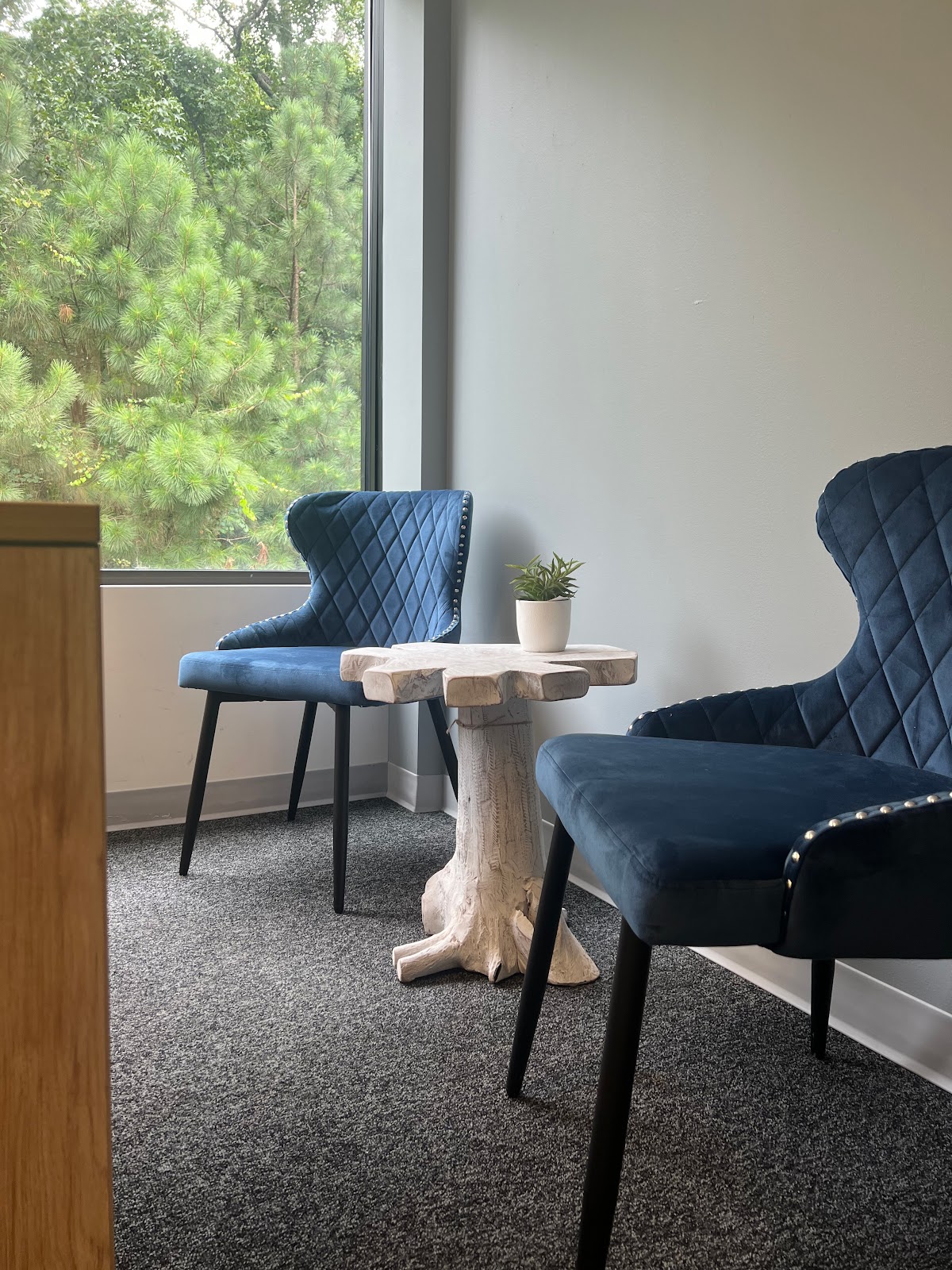 New View Wellness - Photo 4