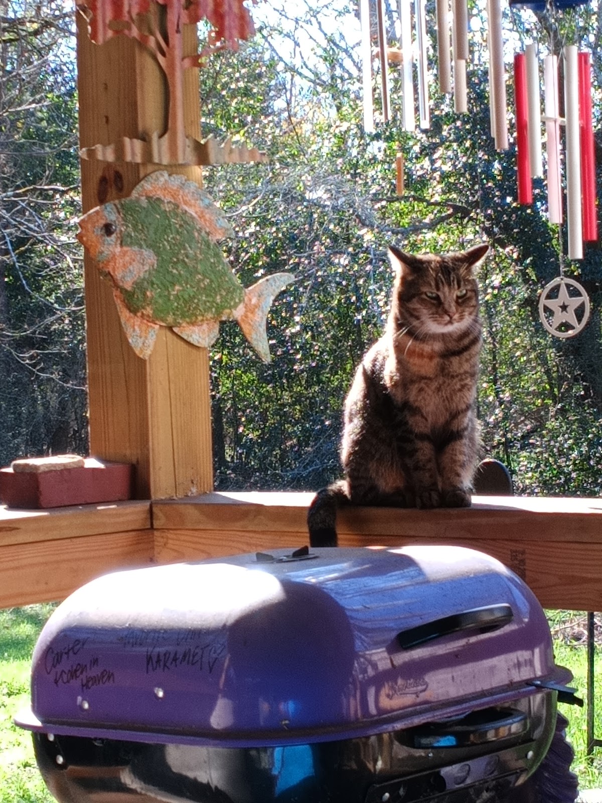 Sober Living Programs in Atlanta - Photo 6