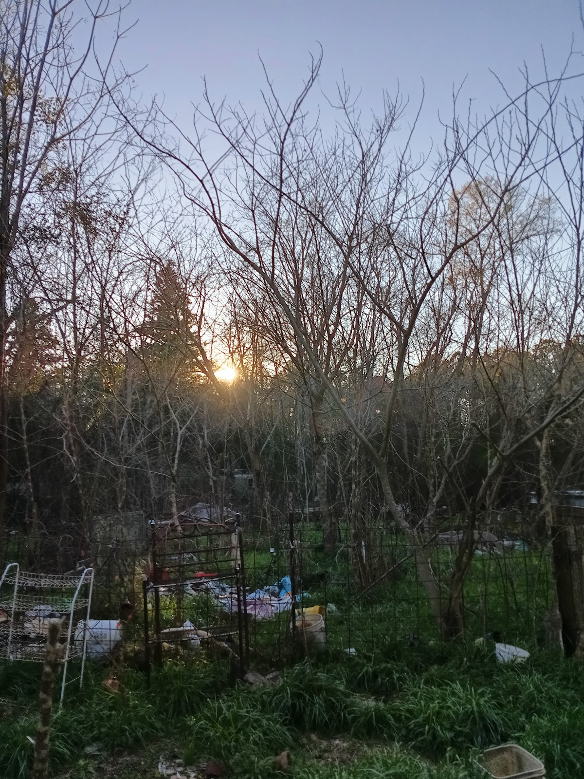 Sober Living Programs in Atlanta - Photo 3