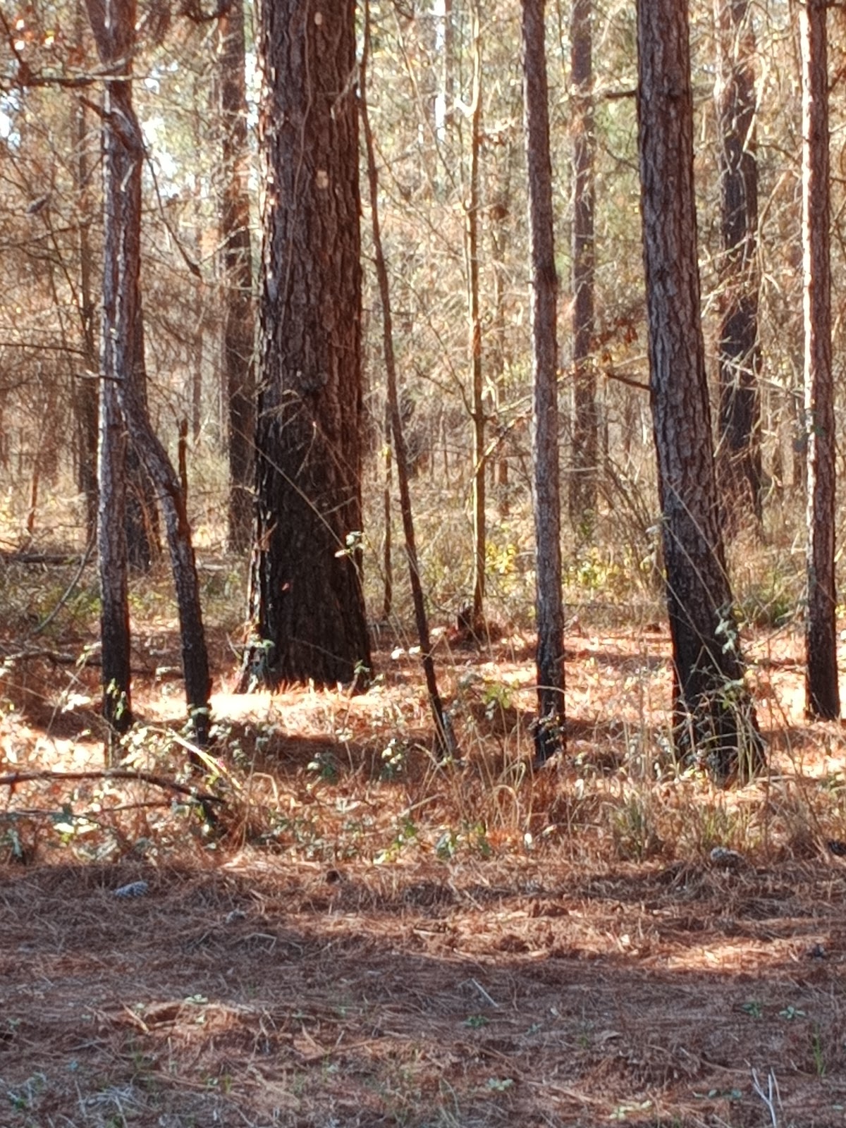 Sober Living Programs in Atlanta - Photo 4